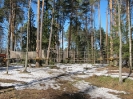 Kelionė po Baltijos jūros valstybes