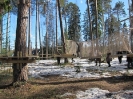 Kelionė po Baltijos jūros valstybes